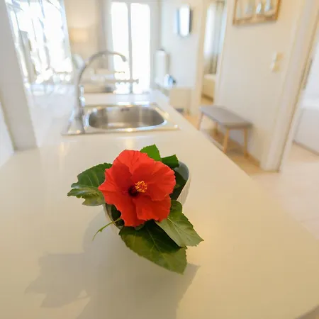 Pelagia's Foinikounda