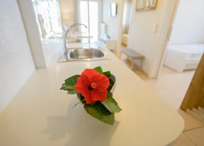 Pelagia's Финикунда